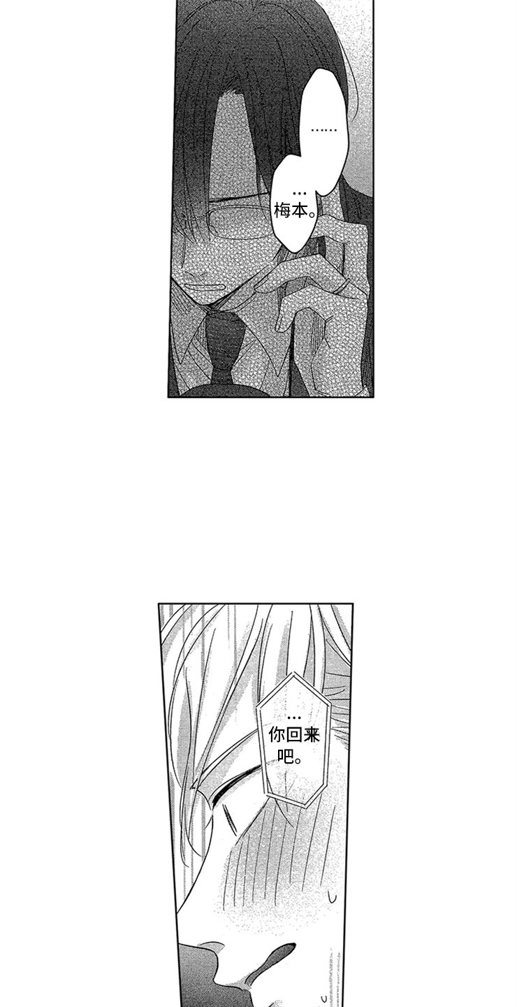 第25章：真实的想法