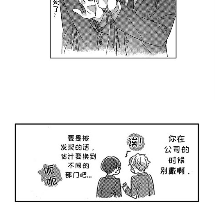 第29章：新的戒指