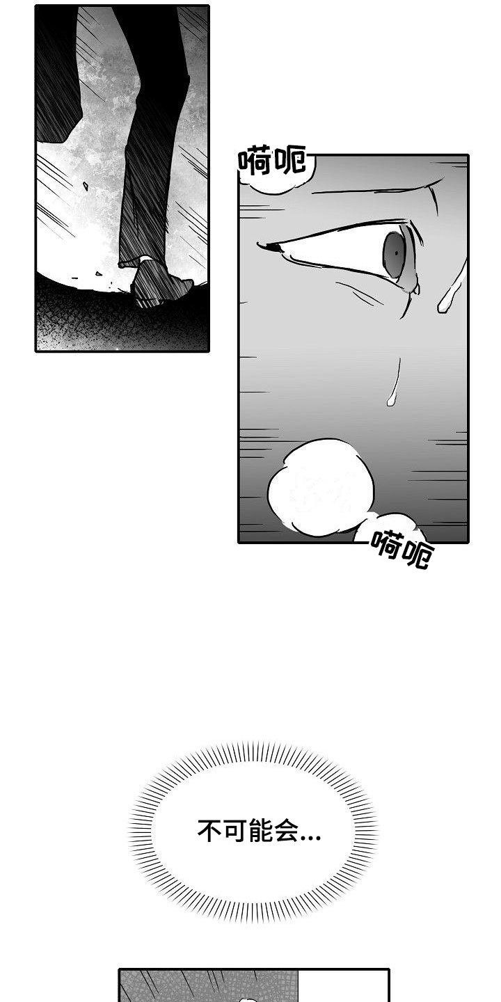 第16章：二次打击