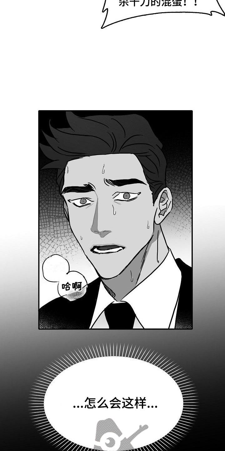 第16章：二次打击