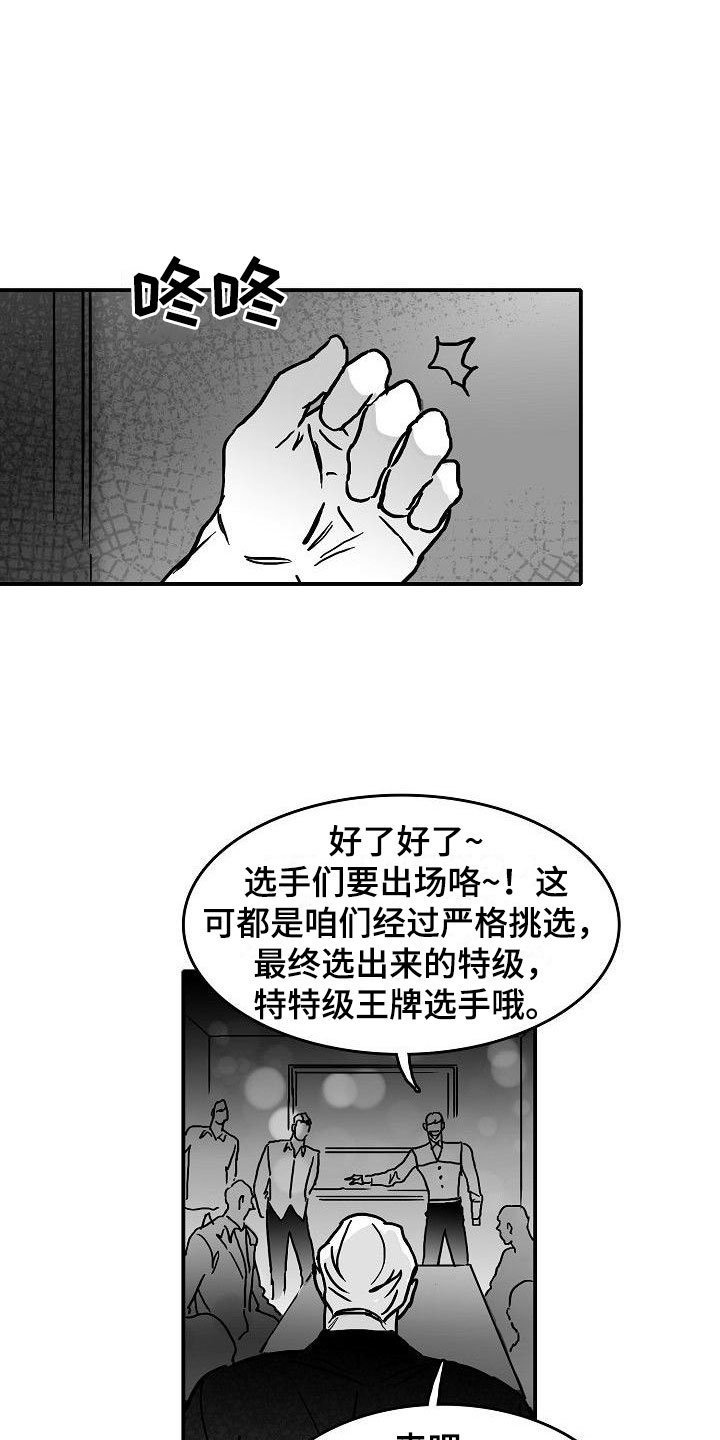 第16章：二次打击