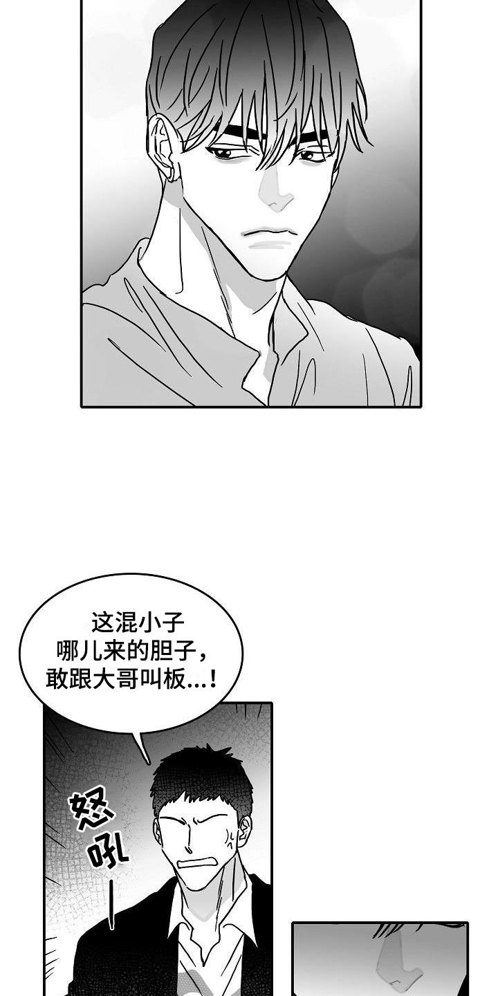 第17章：新的感情