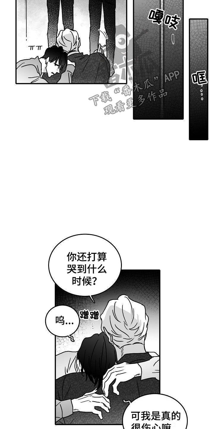 第17章：新的感情
