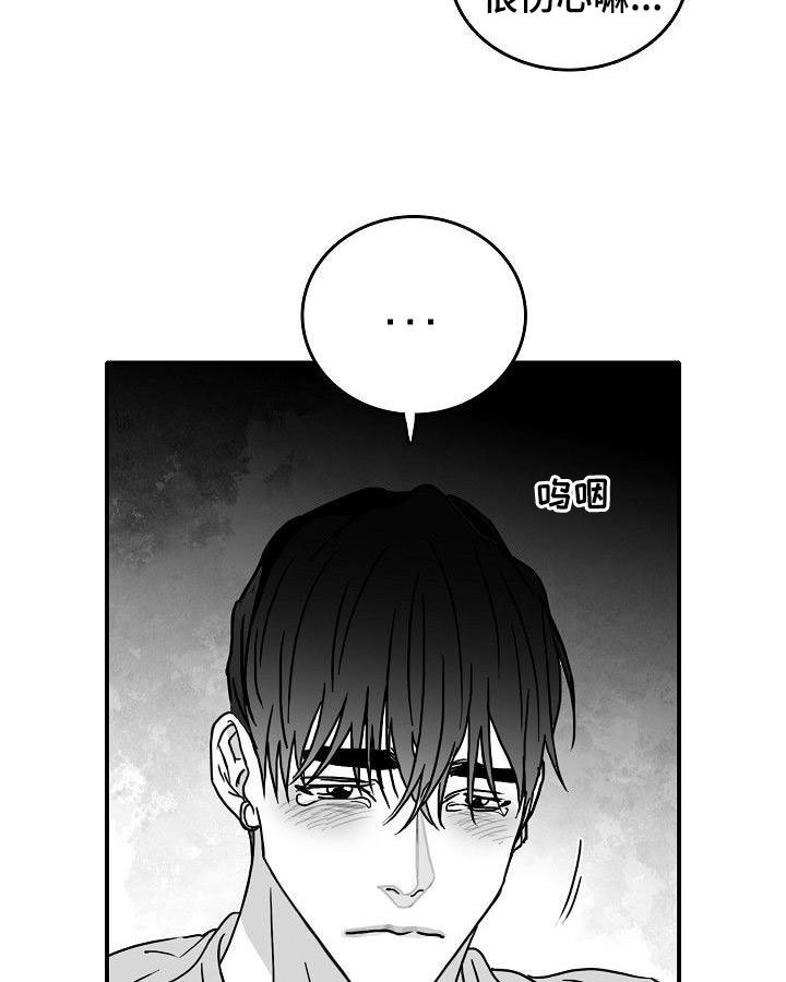 第17章：新的感情