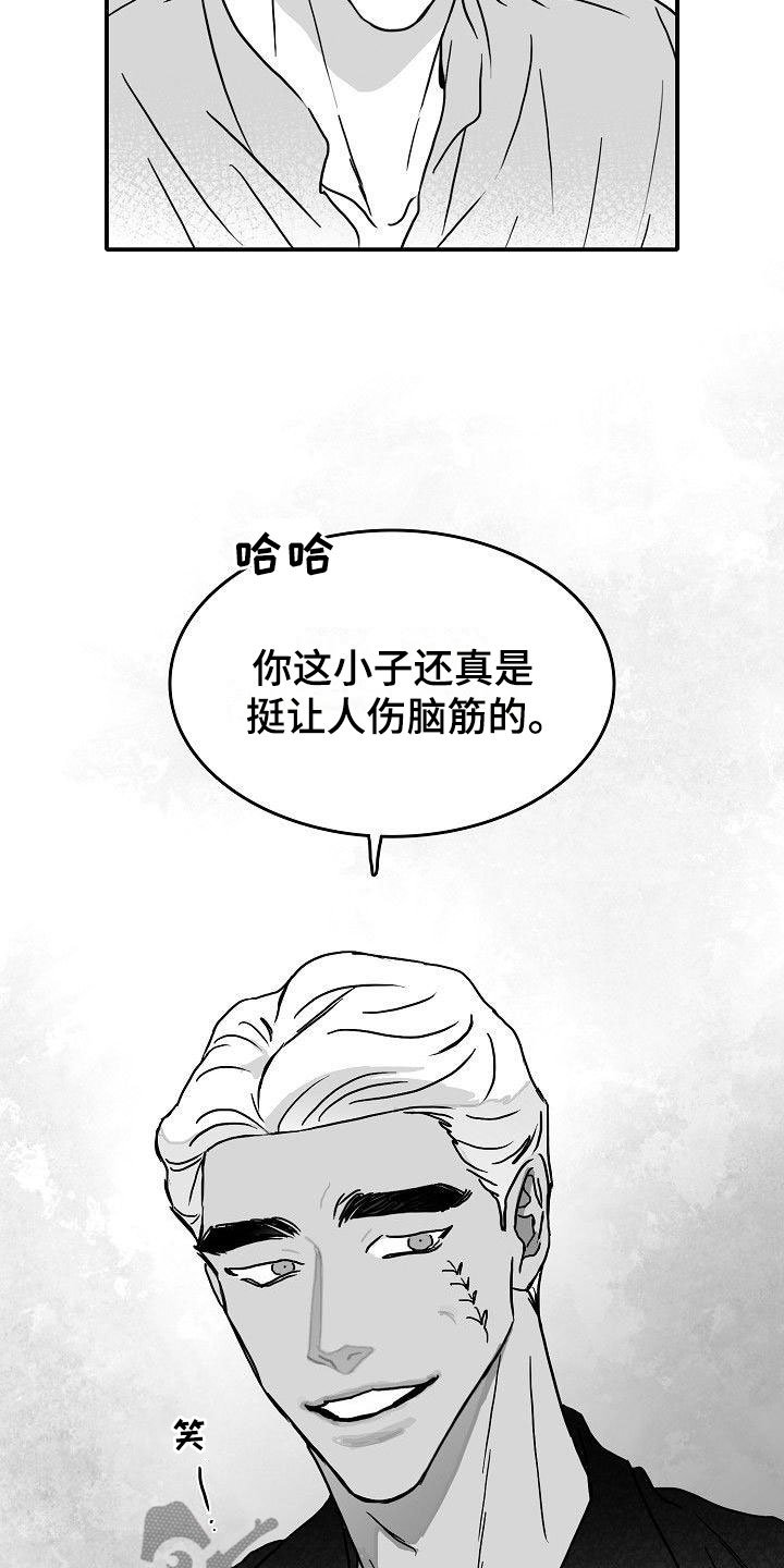 第17章：新的感情