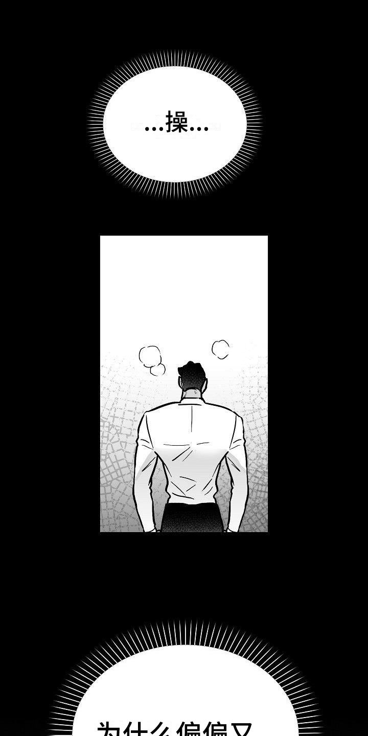 第25章：百感交集