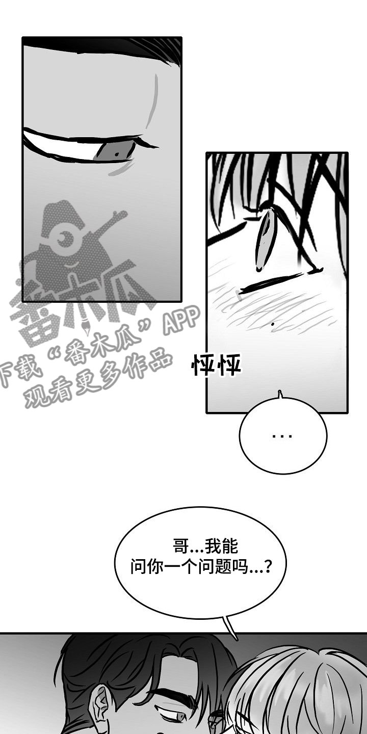 第44章：决定做选手