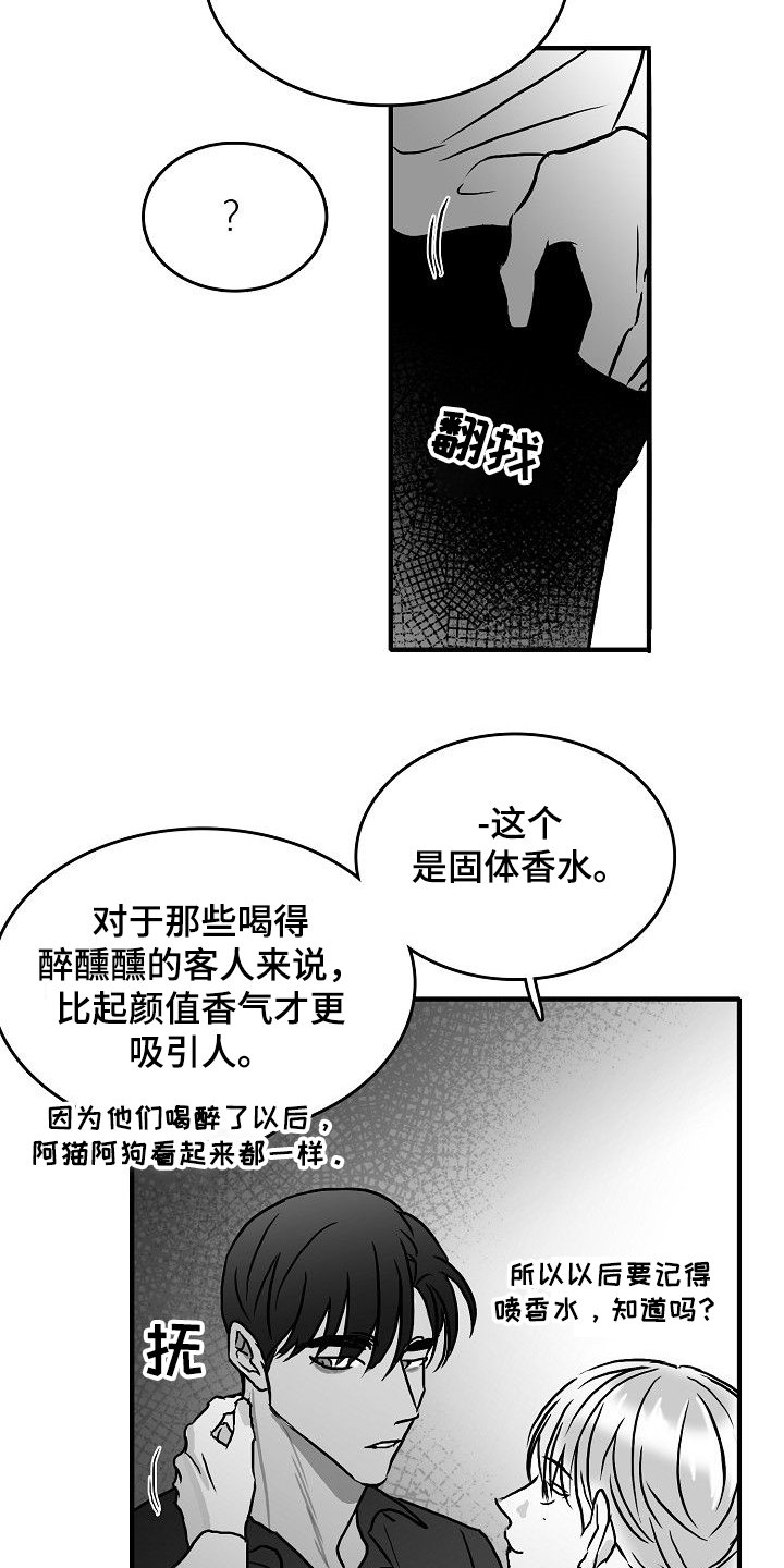 第44章：决定做选手