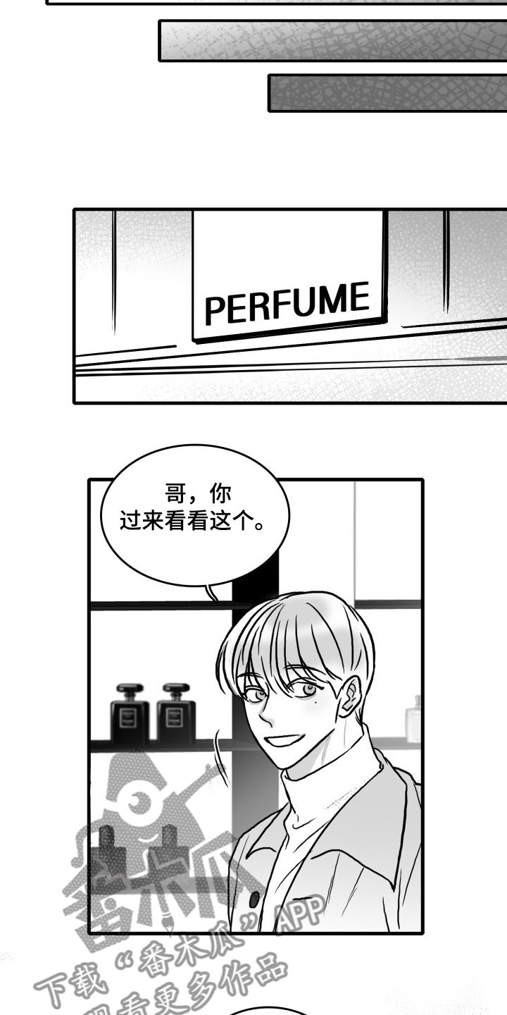 第48章：准备好了吗