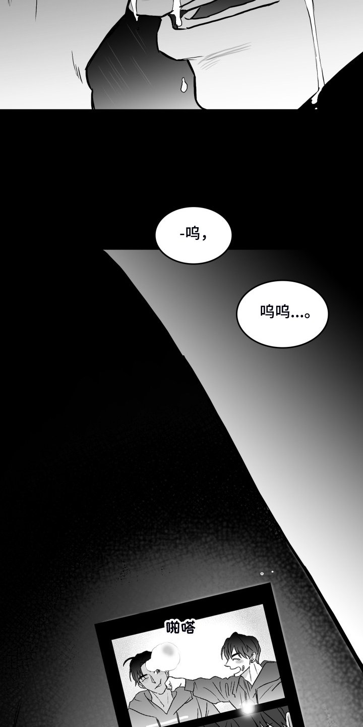 第55章：【第一季完结】那些回忆