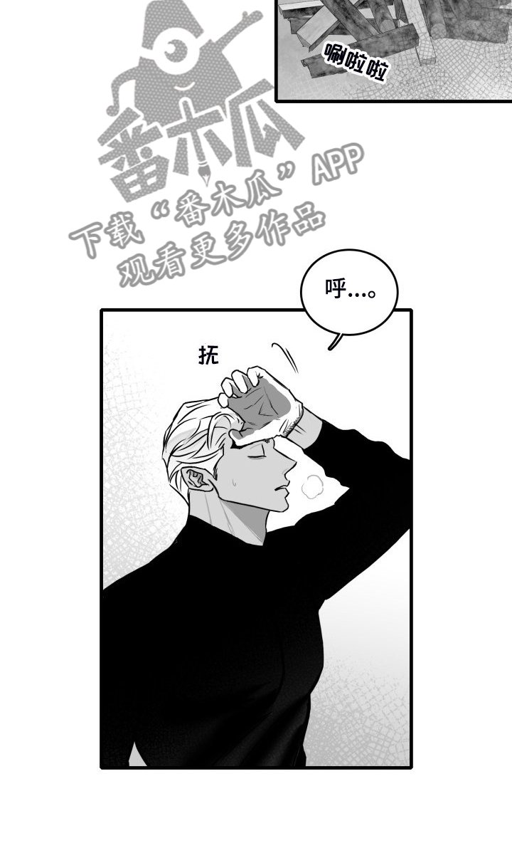 第90章：【第二季】不能爱你