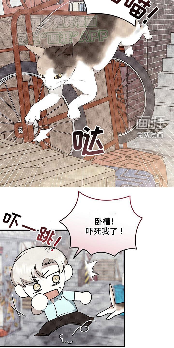 第104章：不见任何人
