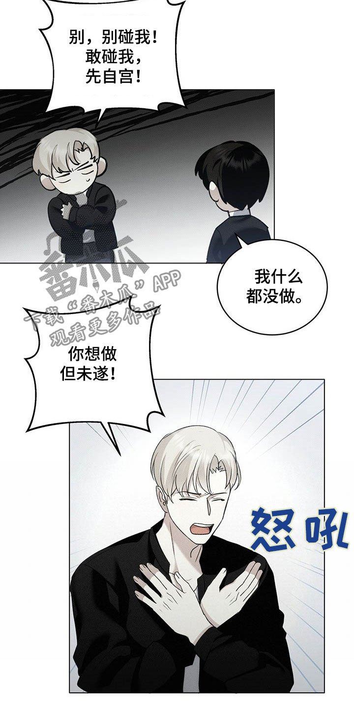 第16章：补品