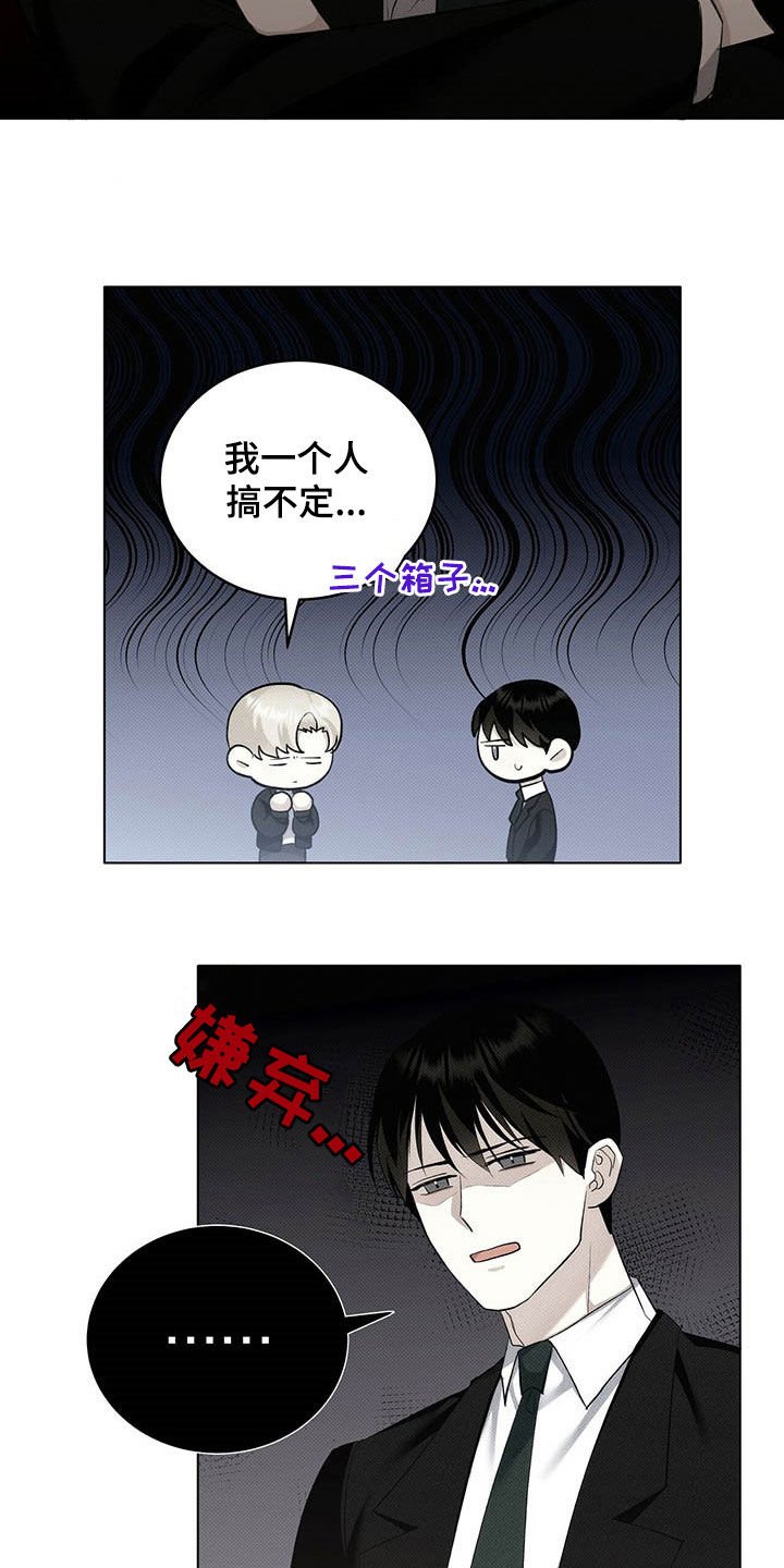 第16章：补品