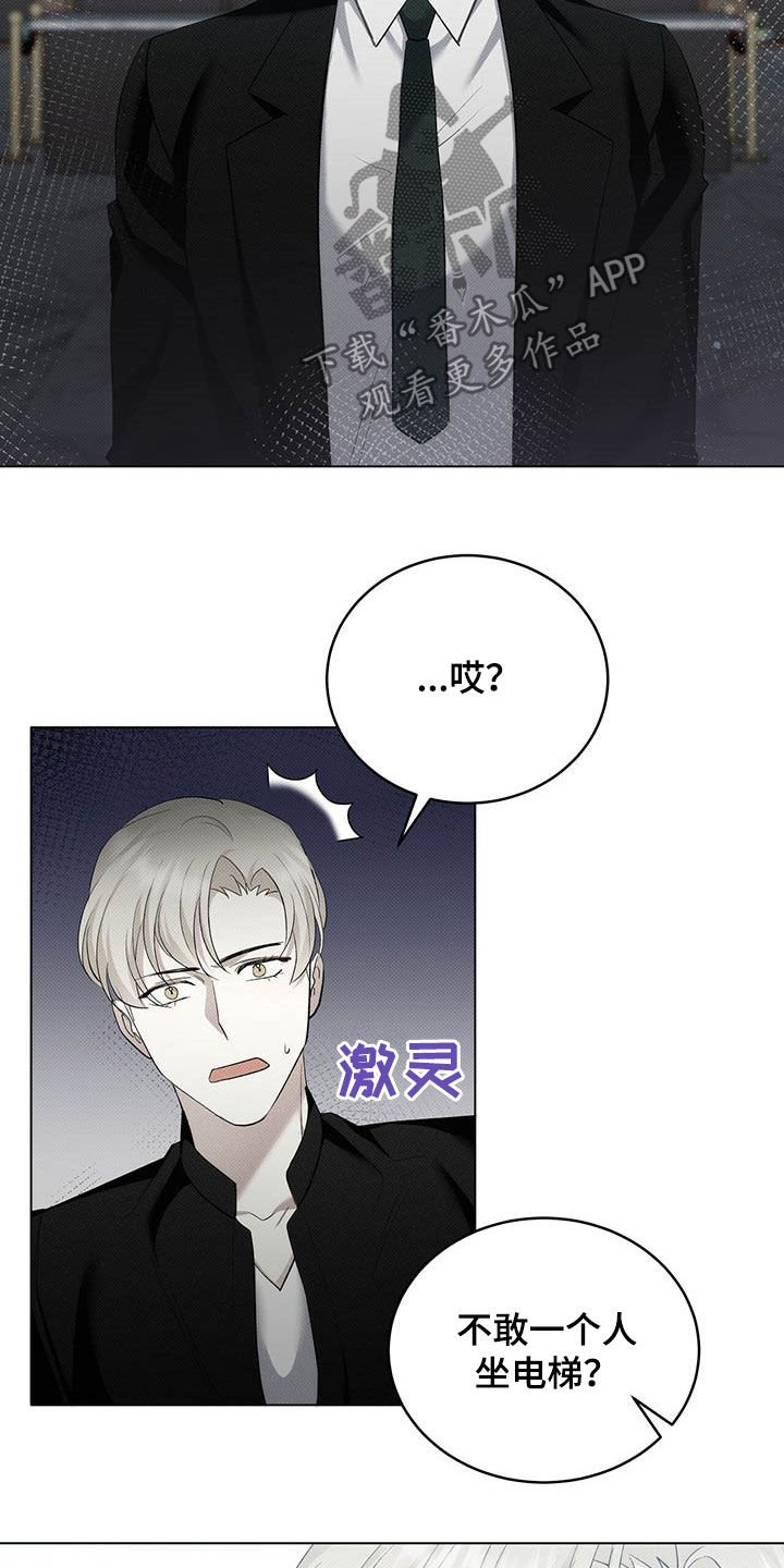 第16章：补品