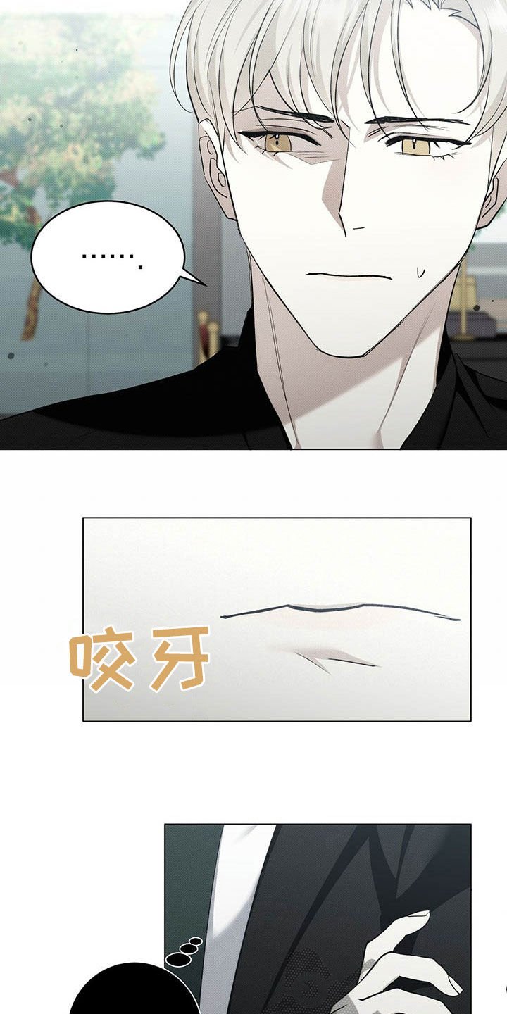 第16章：补品