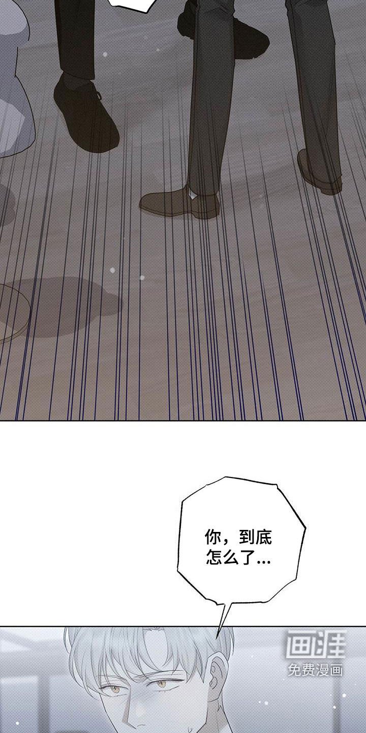 第53章：你喜欢我吗
