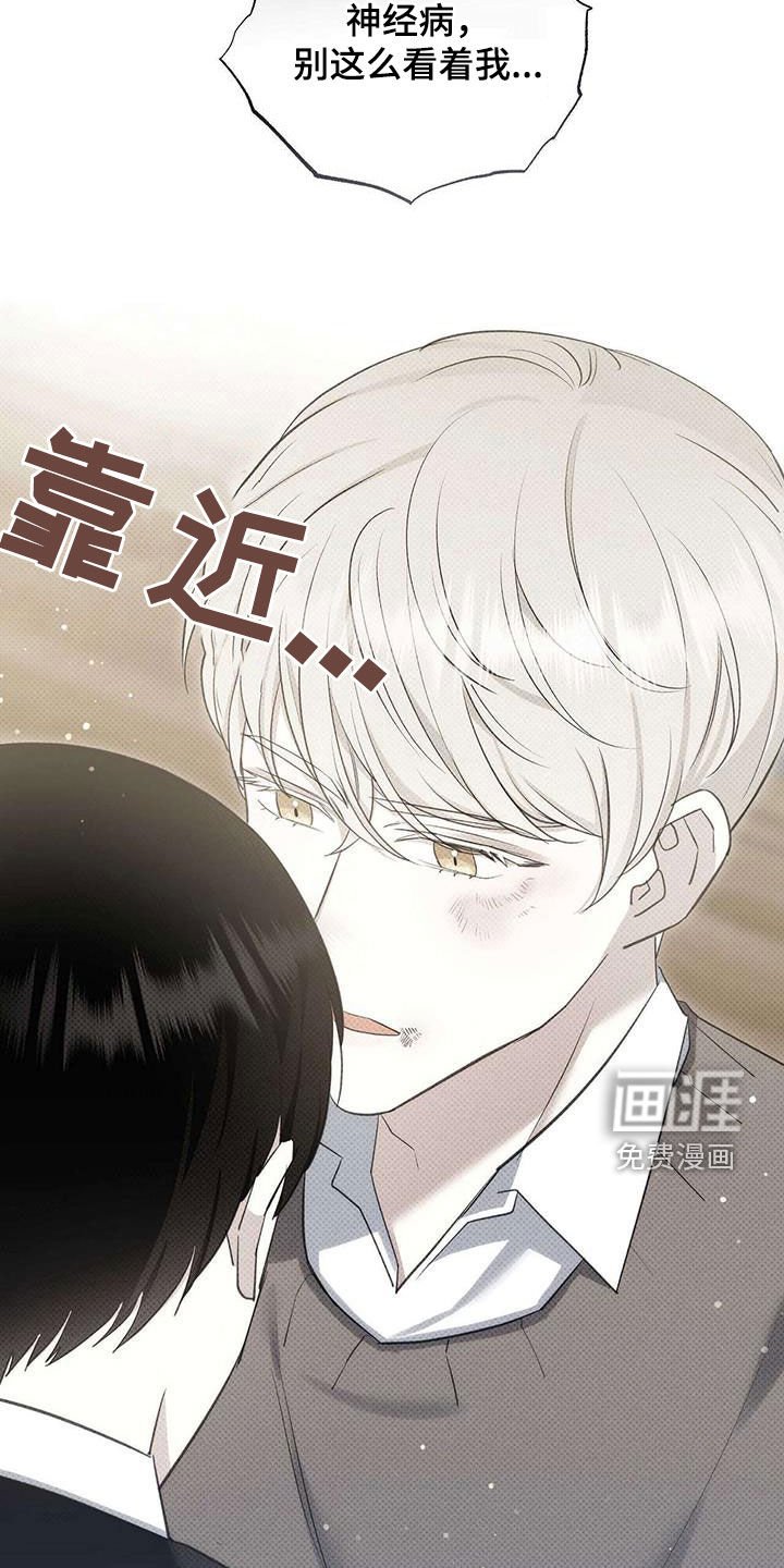 第61章：表白