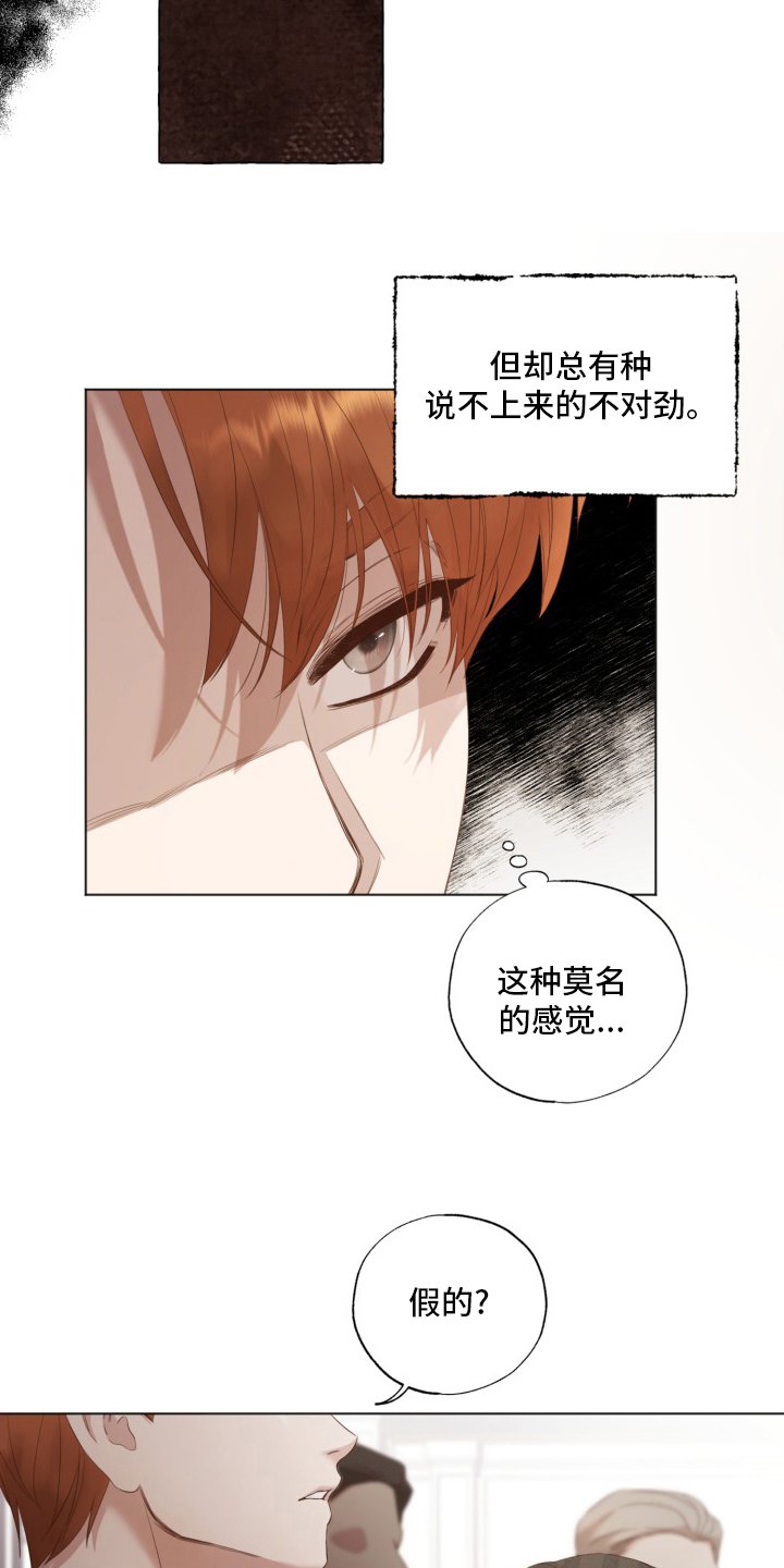 第38章：假的