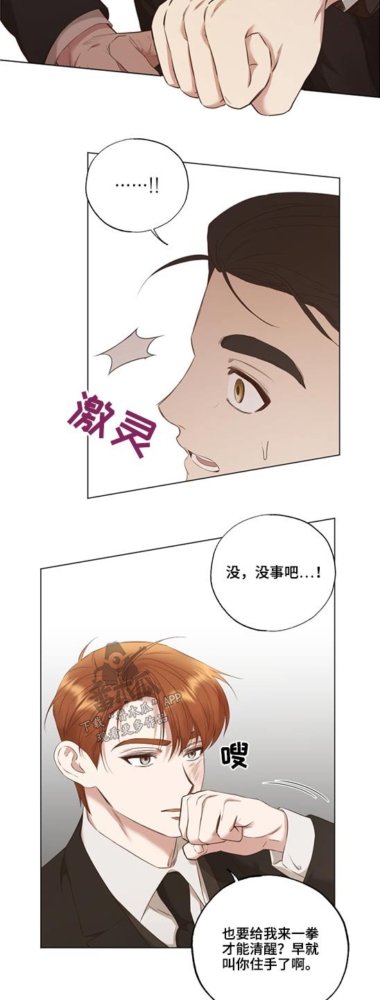 第52章：选择