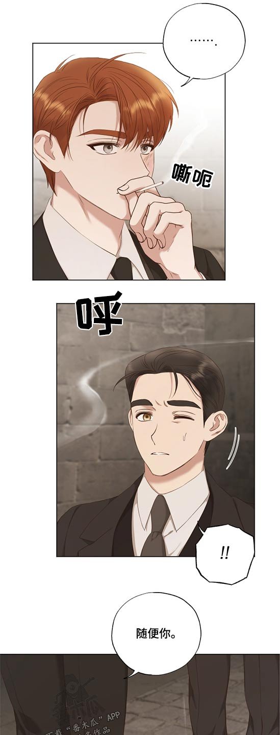 第52章：选择