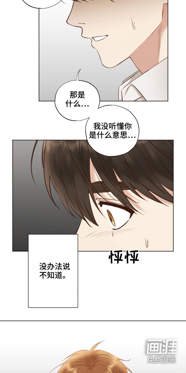 第65章：实话
