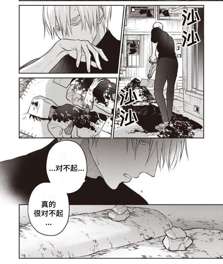 第29章：对不起