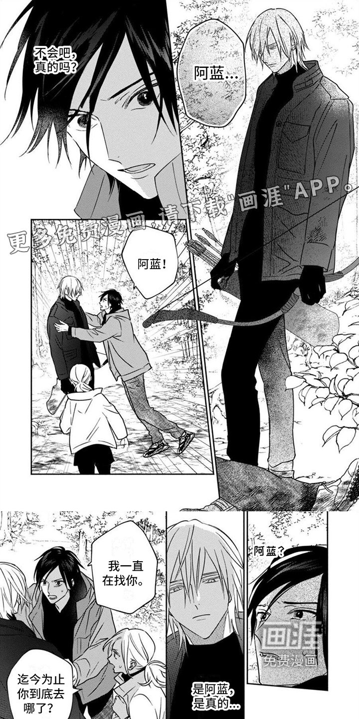 第34章：解释