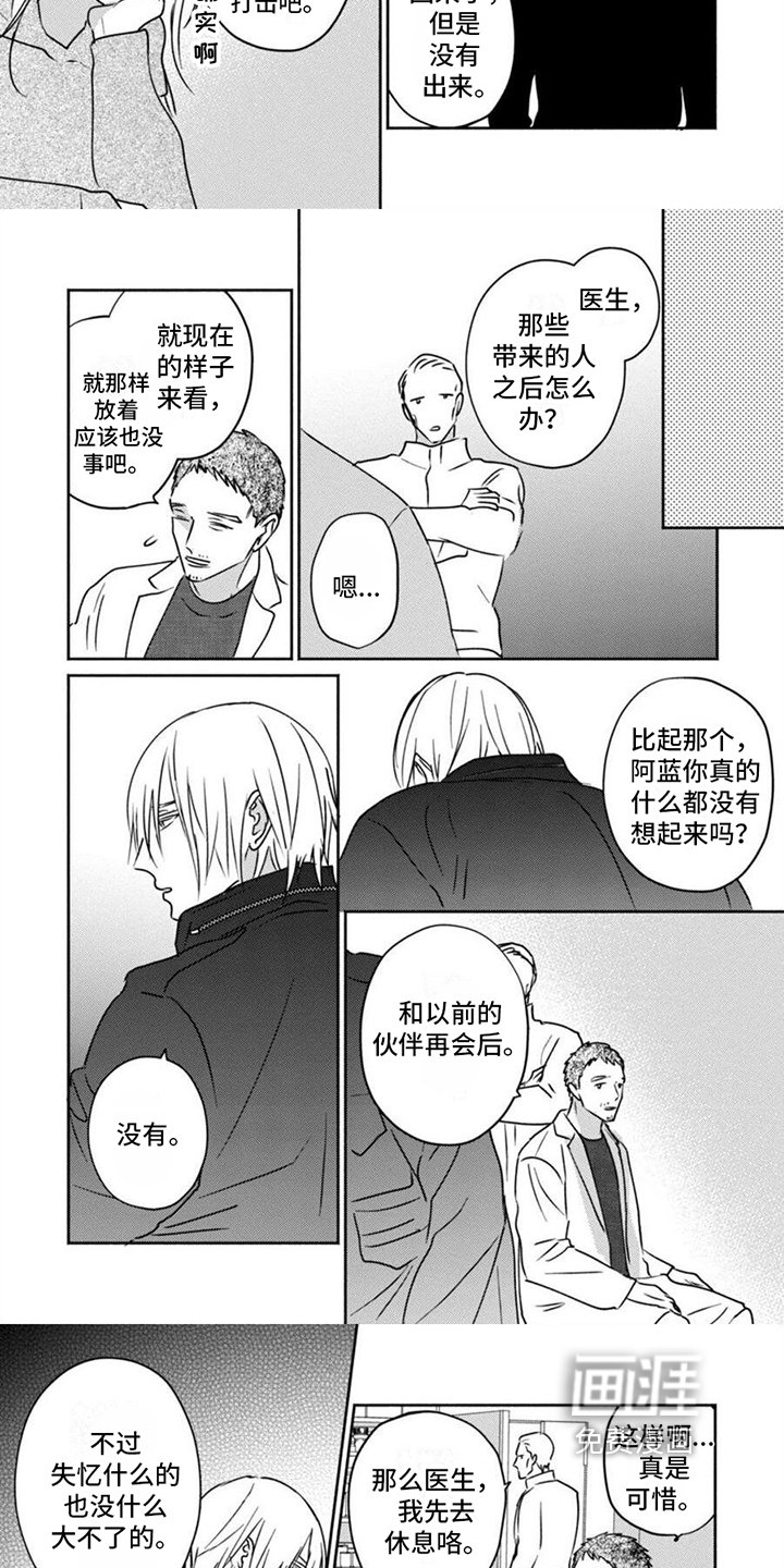 第37章：完美抗体