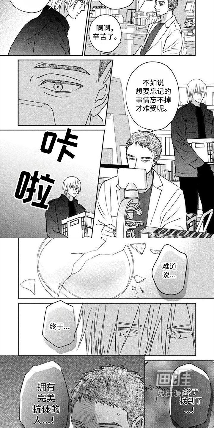 第37章：完美抗体