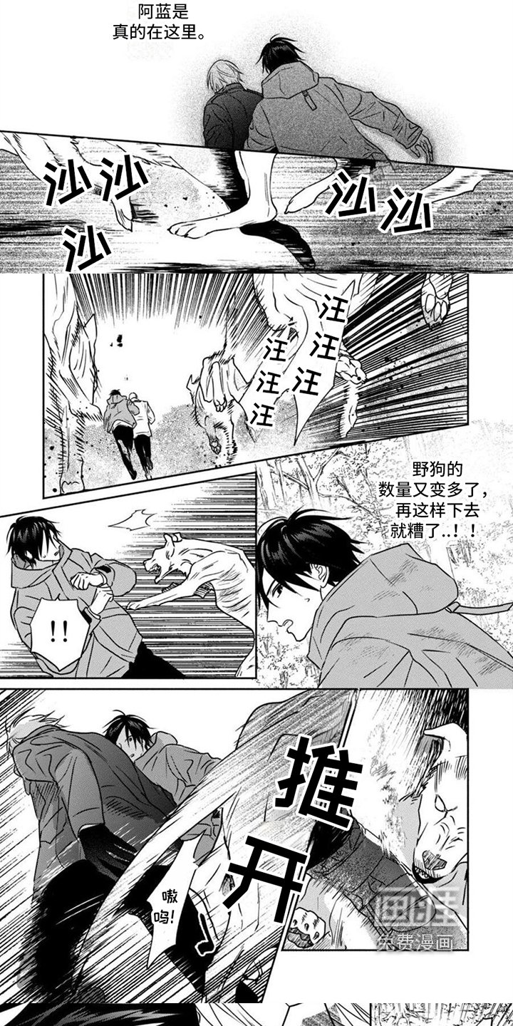 第38章：疑点