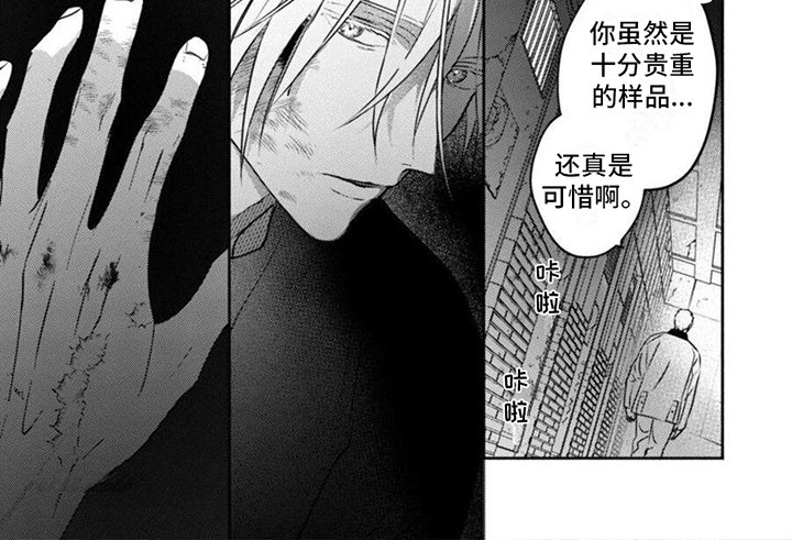 第41章：求救