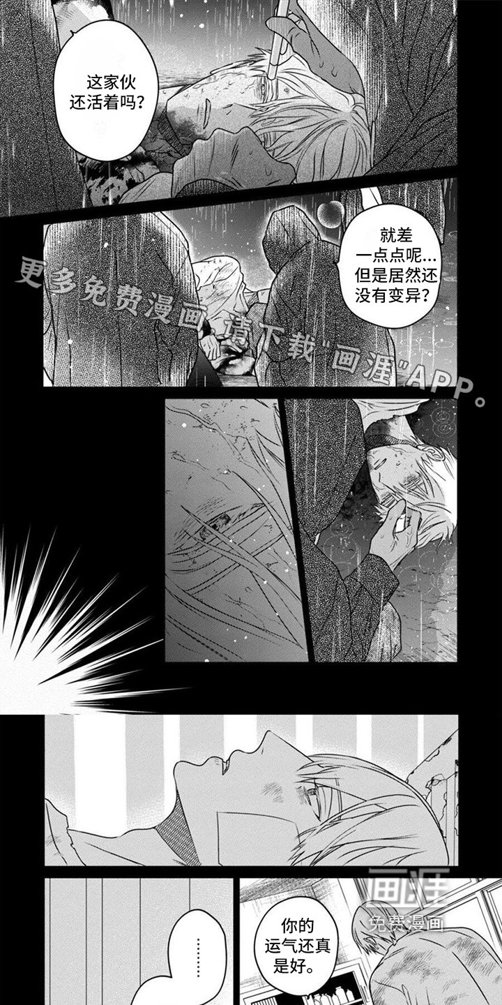 第42章：记忆碎片