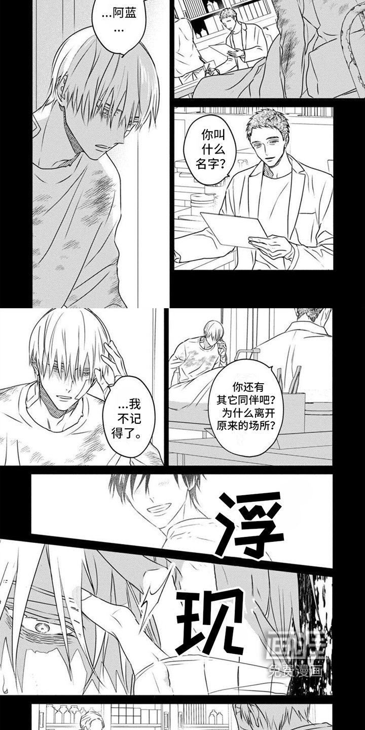 第42章：记忆碎片