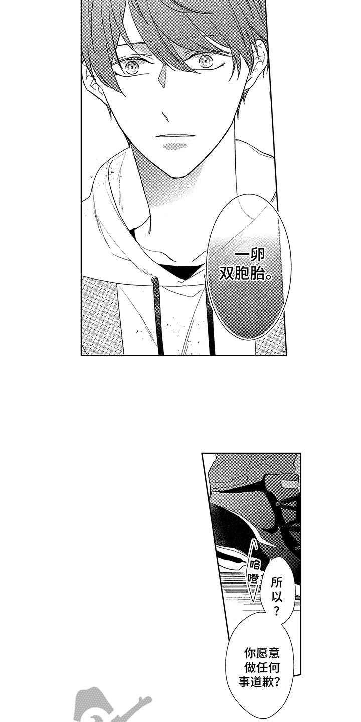 第4章：双胞胎