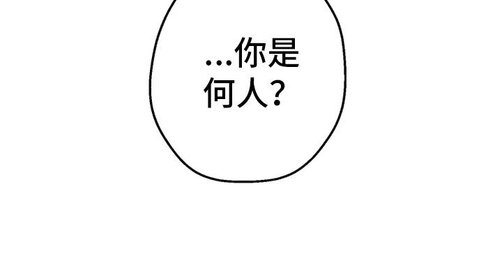 第2章：未知来人