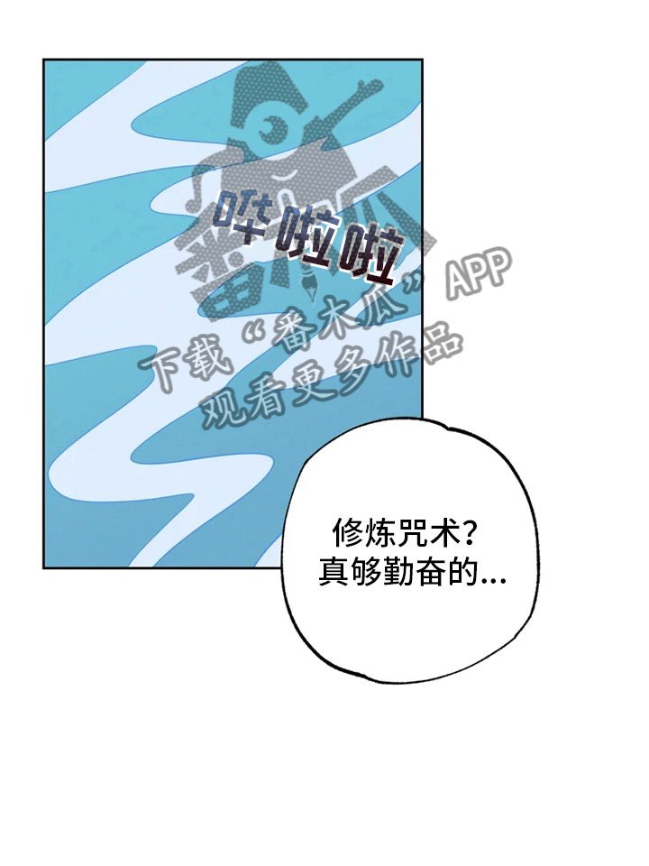 第25章：林中修习
