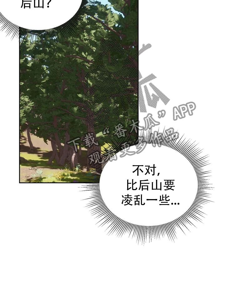 第25章：林中修习
