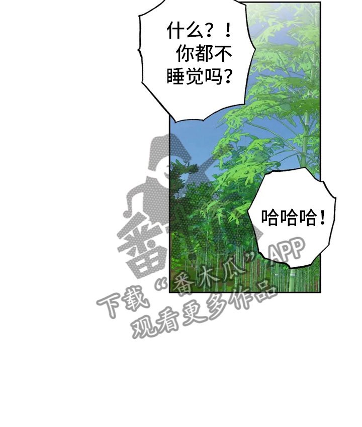 第26章：生辰礼物