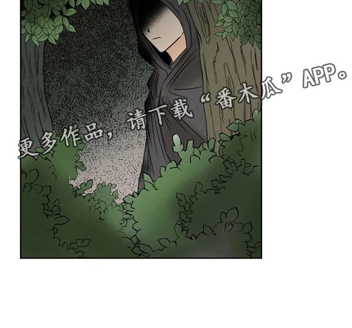 第9章：后山戏水