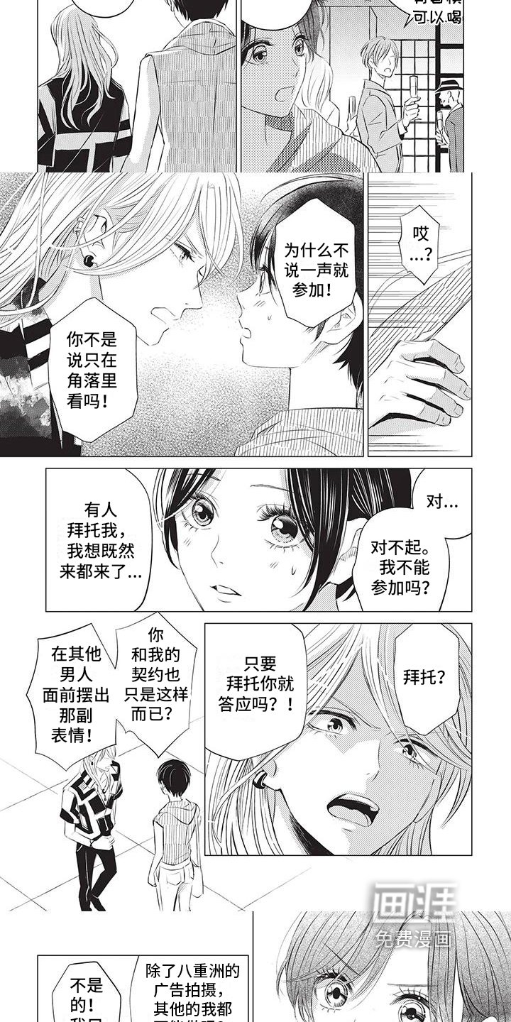 第31章：断定
