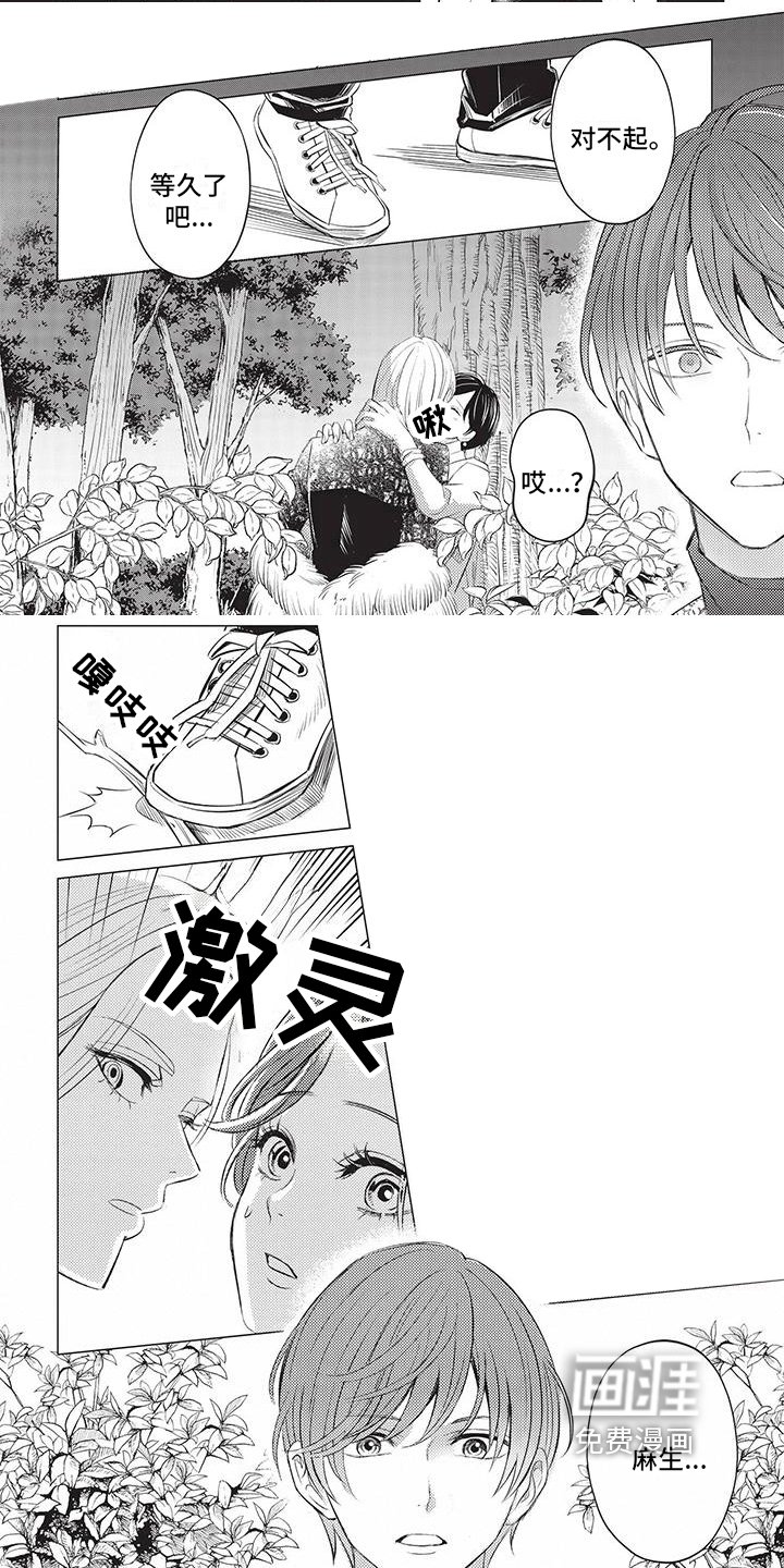 第44章：摊牌