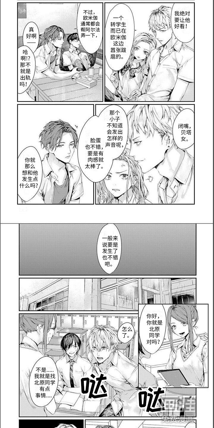 第12章：暗流涌动