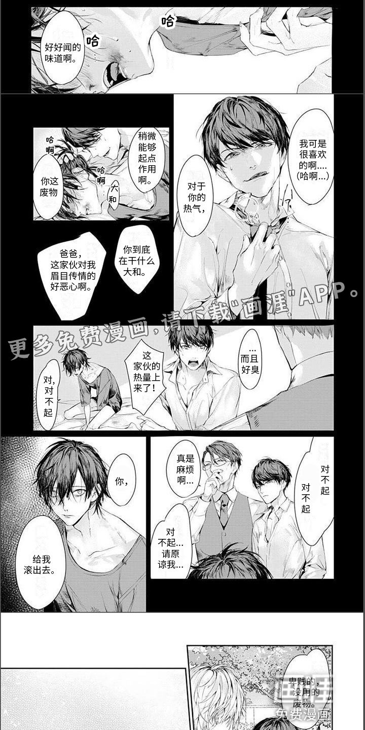 第8章：品尝