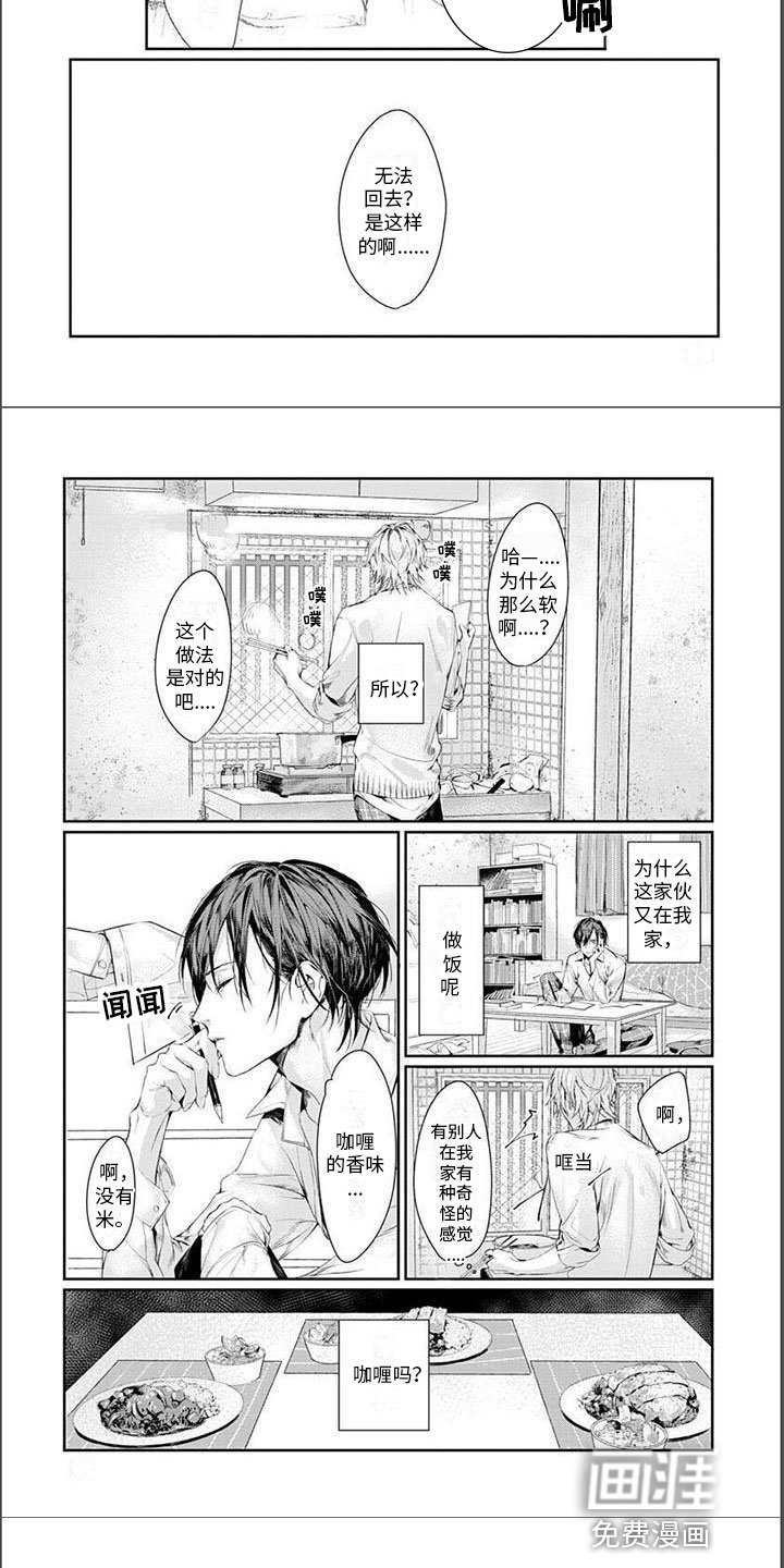 第8章：品尝