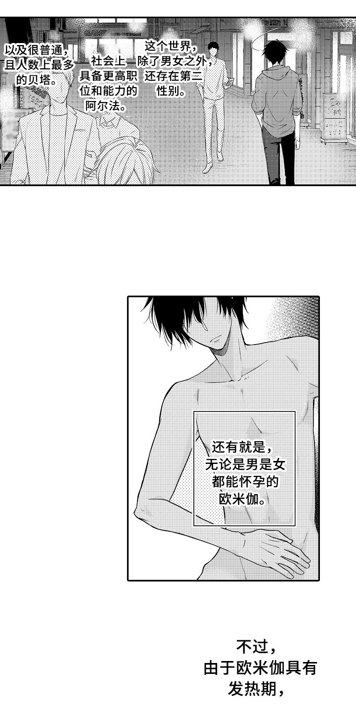 第1章：拍卖