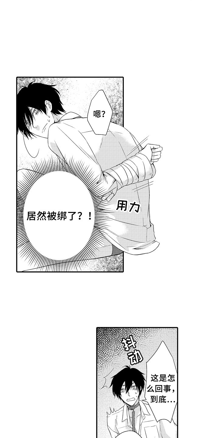 第1章：拍卖