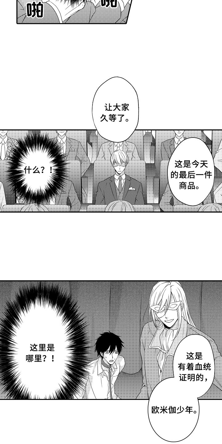 第1章：拍卖