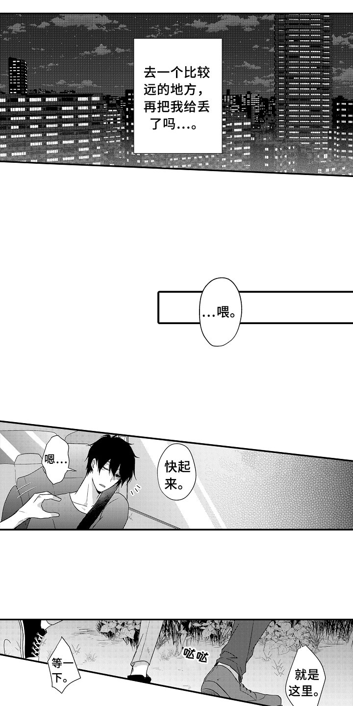 第11章：看海