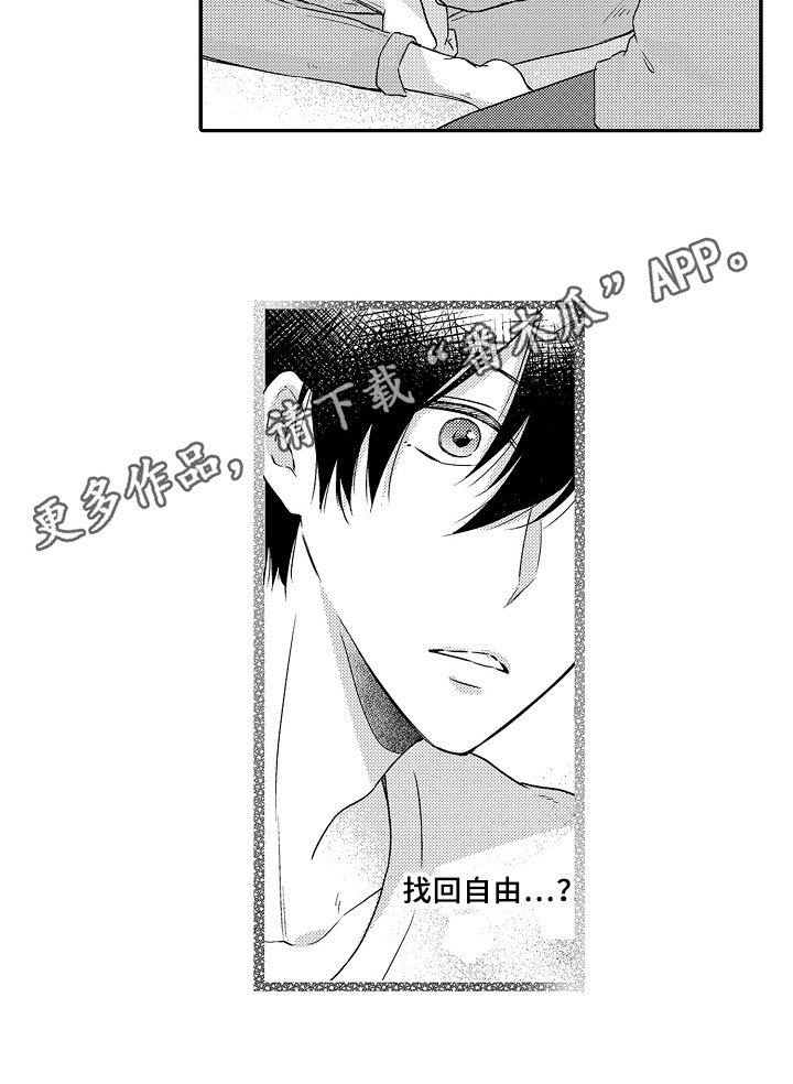 第13章：自由